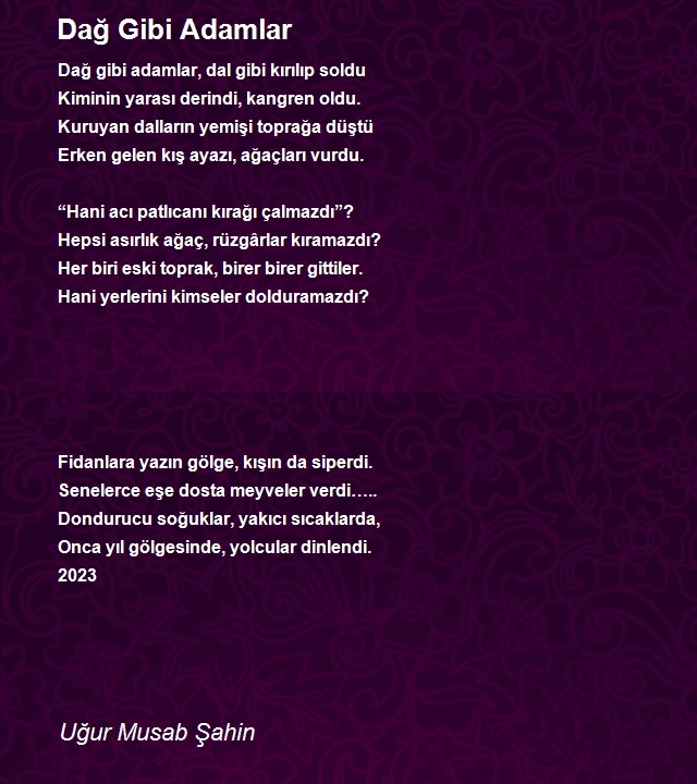 Uğur Musab Şahin