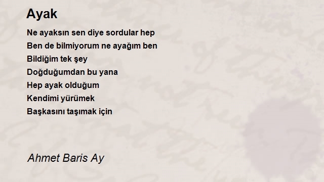 Ahmet Baris Ay