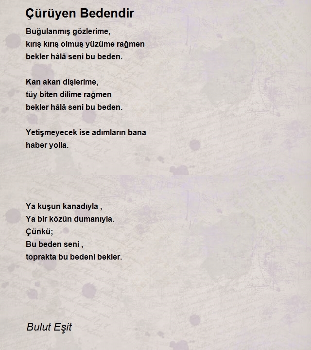 Bulut Eşit