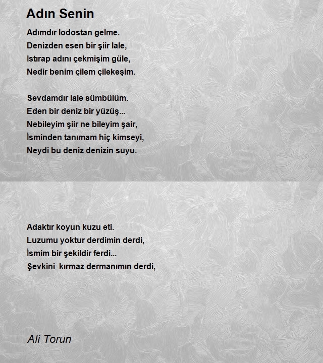 Ali Torun