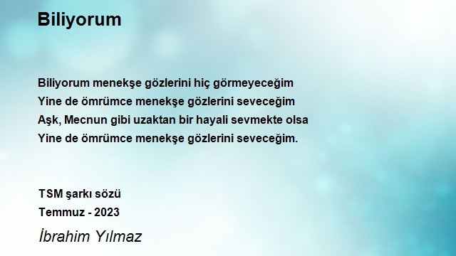 İbrahim Yılmaz