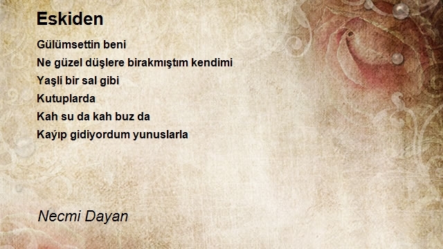 Necmi Dayan