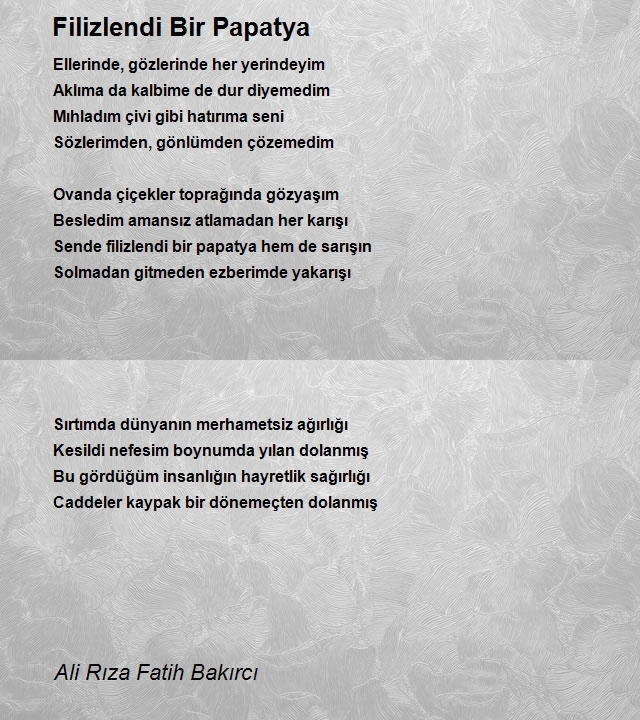 Ali Rıza Fatih Bakırcı