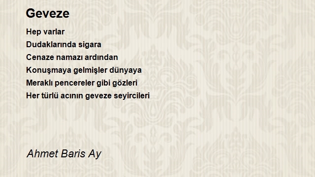 Ahmet Baris Ay