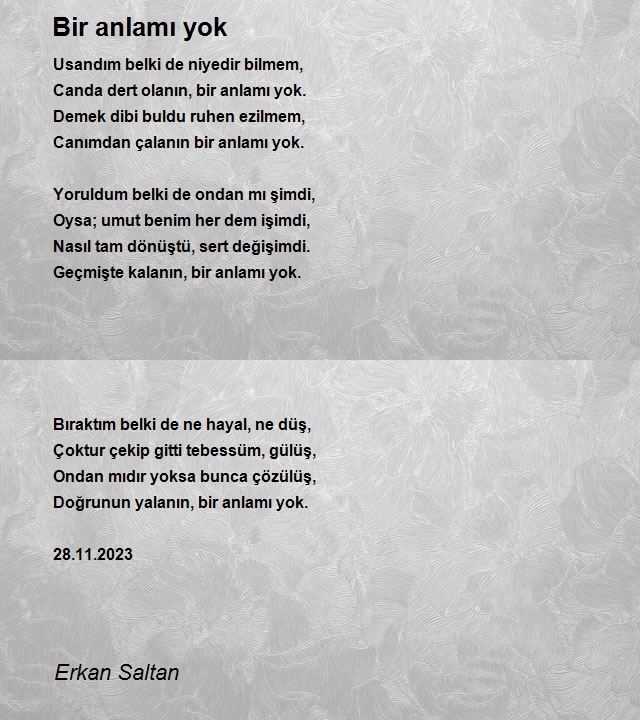 Erkan Saltan