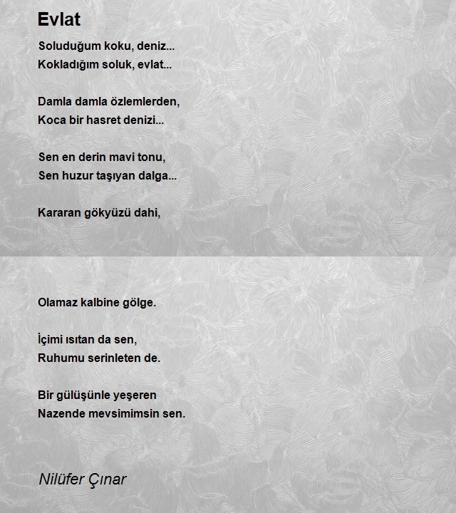 Nilüfer Çınar