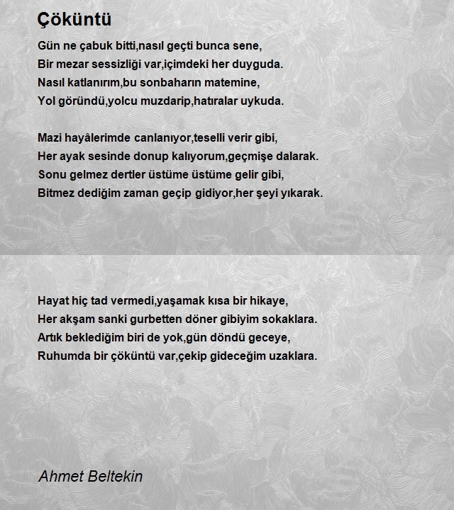 Ahmet Beltekin