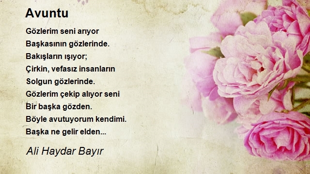 Ali Haydar Bayır