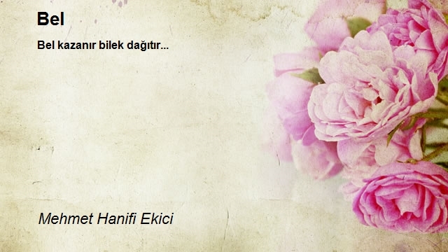 Mehmet Hanifi Ekici