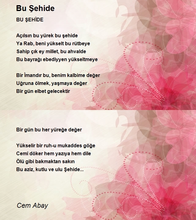 Cem Abay