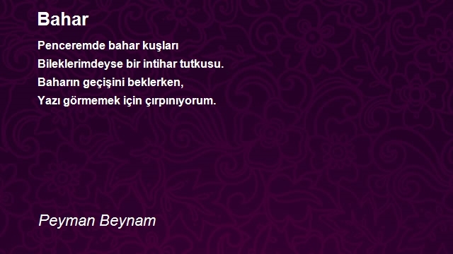 Peyman Beynam