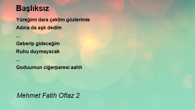 Mehmet Fatih Oflaz 2