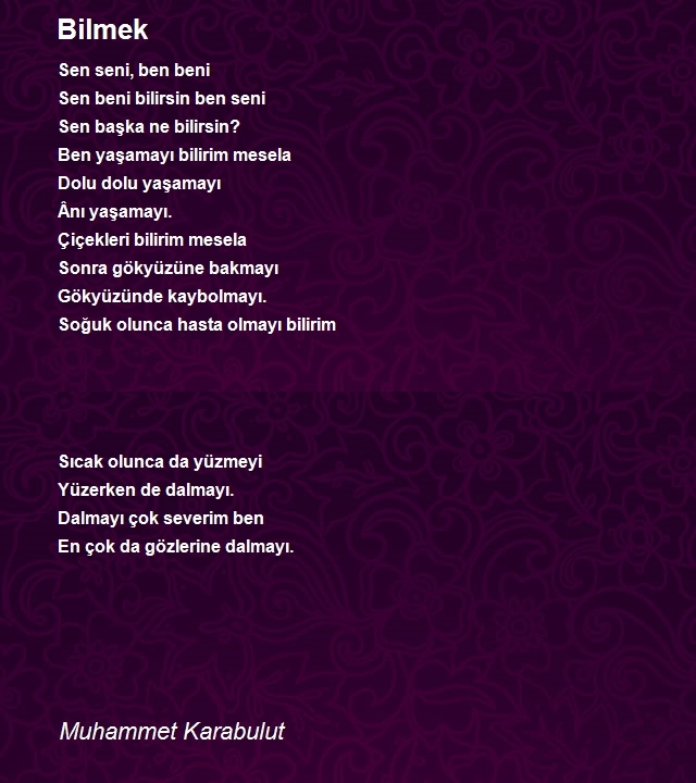 Muhammet Karabulut