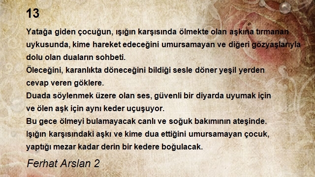 Ferhat Arslan 2