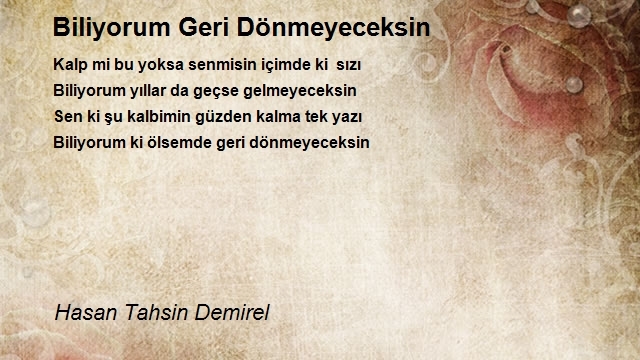 Hasan Tahsin Demirel