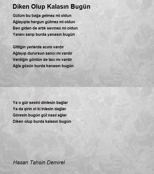 Hasan Tahsin Demirel