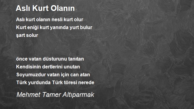 Mehmet Tamer Altıparmak