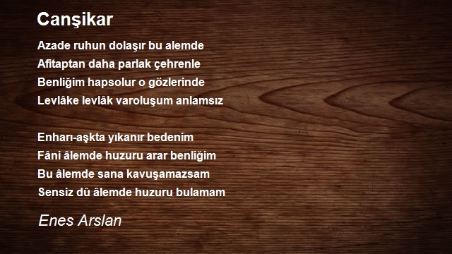 Enes Arslan