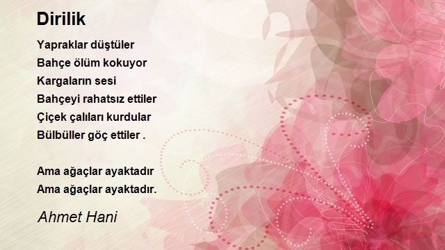 Ahmet Hani