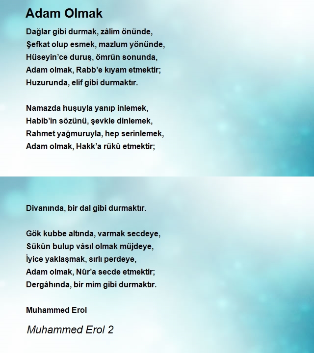 Muhammed Erol 2