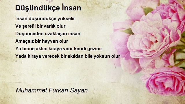 Muhammet Furkan Sayan