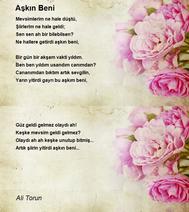 Ali Torun