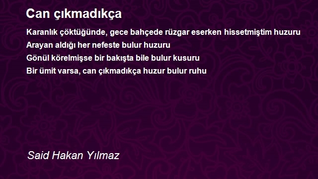 Said Hakan Yılmaz