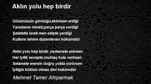 Mehmet Tamer Altıparmak