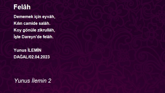 Yunus İlemin 2