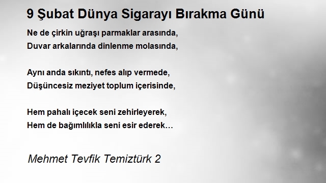 Mehmet Tevfik Temiztürk 2