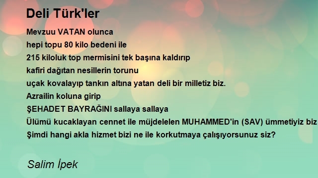 Salim İpek