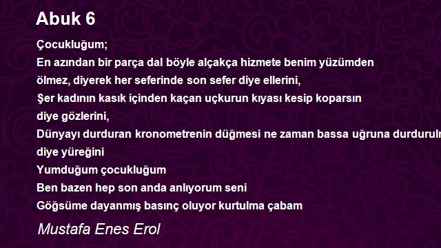 Mustafa Enes Erol