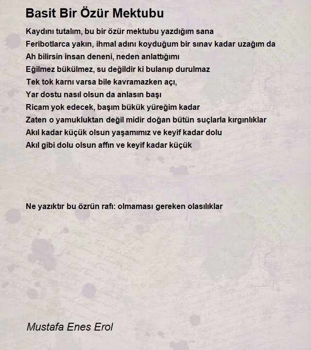 Mustafa Enes Erol