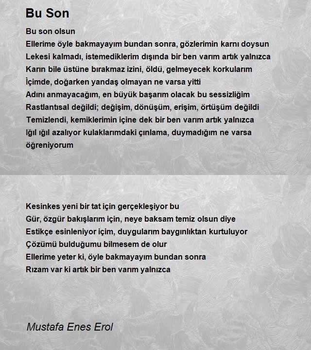 Mustafa Enes Erol