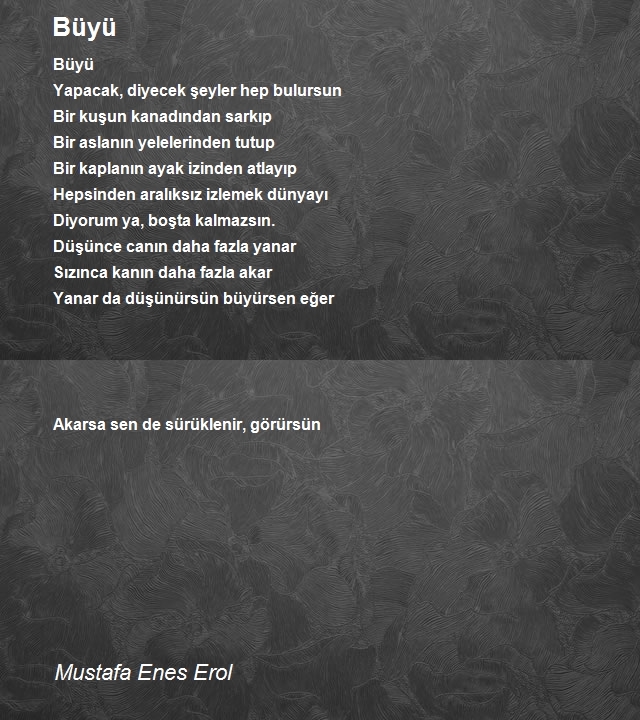 Mustafa Enes Erol