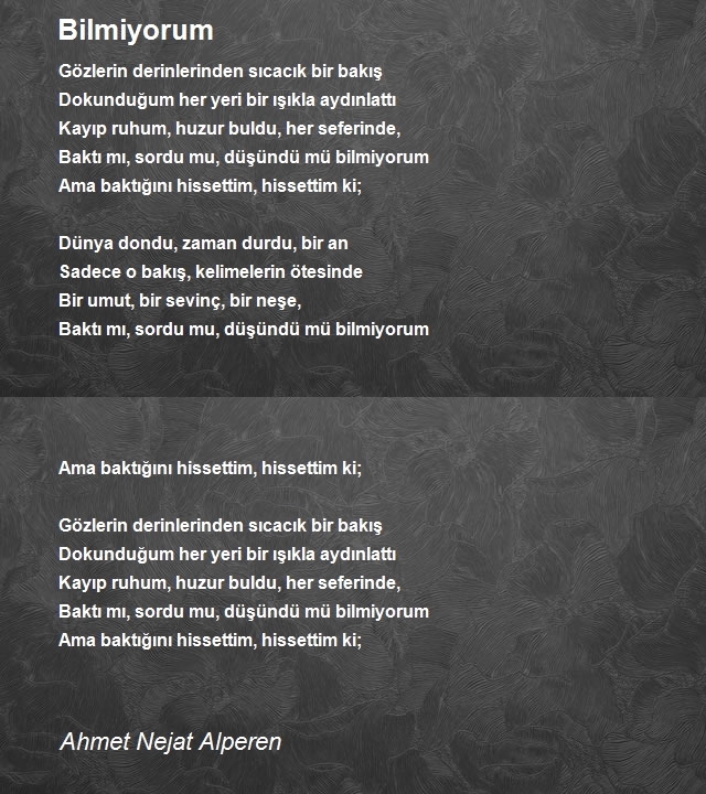 Ahmet Nejat Alperen