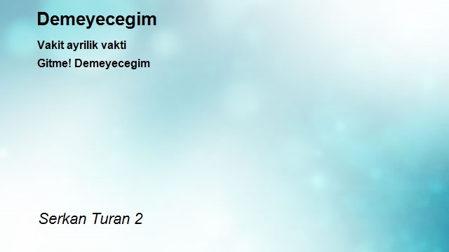 Serkan Turan 2