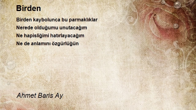 Ahmet Baris Ay