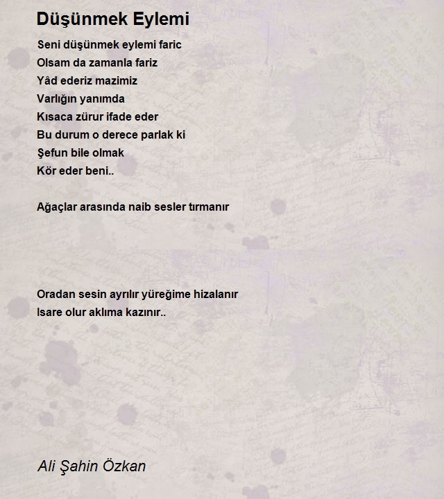 Ali Şahin Özkan