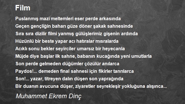 Muhammet Ekrem Dinç