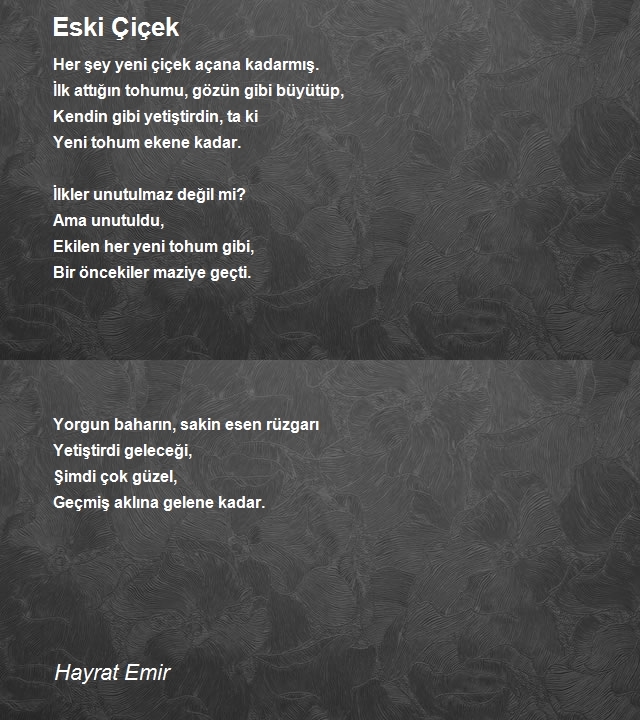 Hayrat Emir