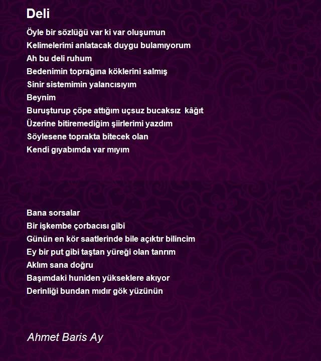 Ahmet Baris Ay