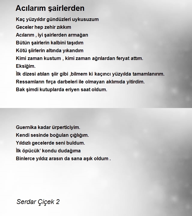 Serdar Çiçek 2