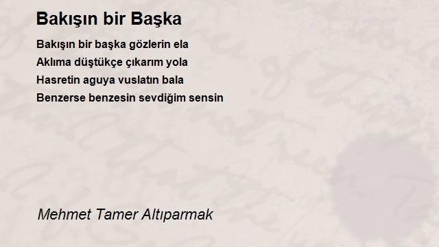 Mehmet Tamer Altıparmak