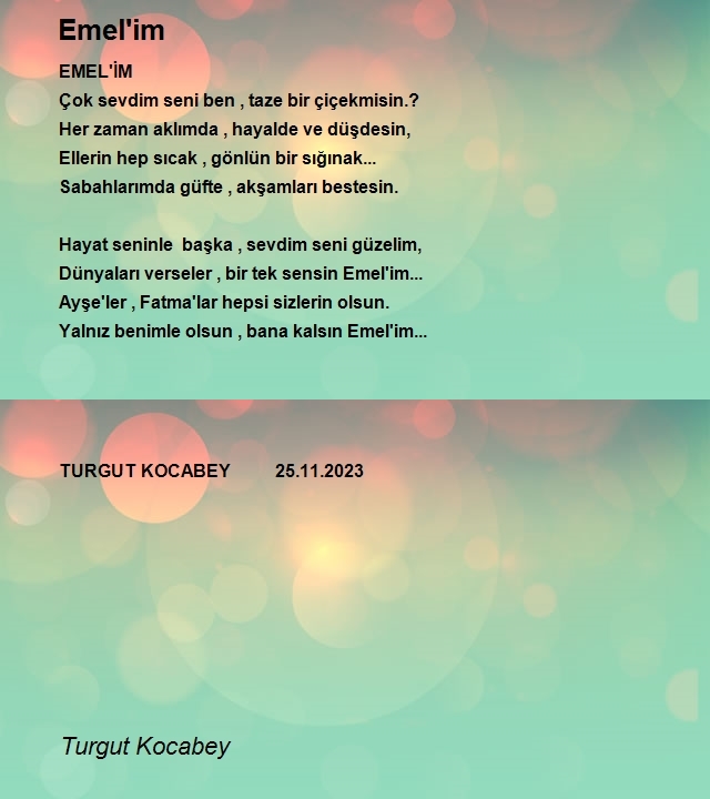 Turgut Kocabey