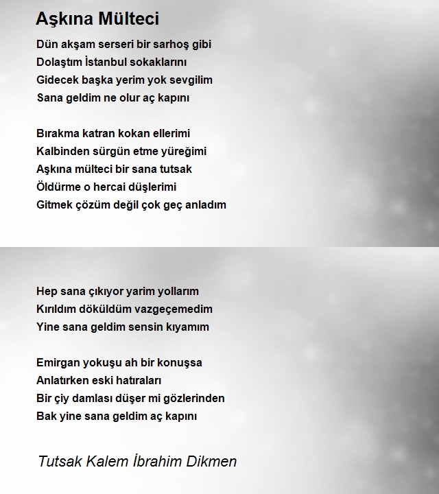 İbrahim Dikmen 2