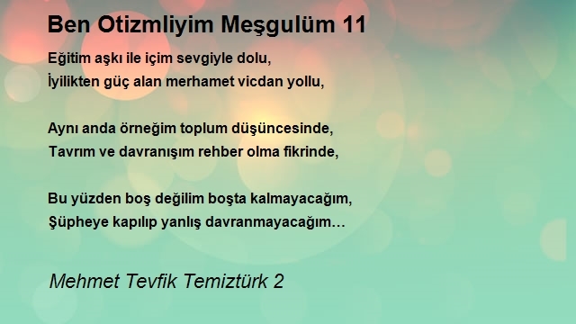 Mehmet Tevfik Temiztürk 2