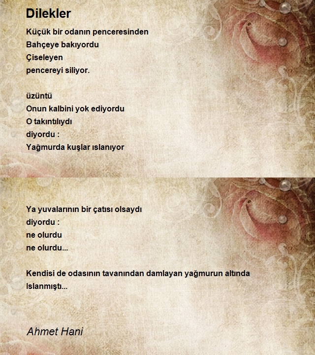 Ahmet Hani