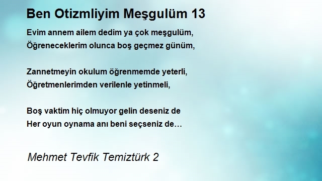 Mehmet Tevfik Temiztürk 2