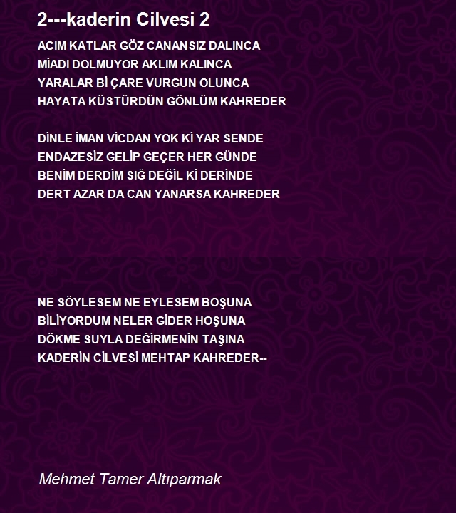 Mehmet Tamer Altıparmak